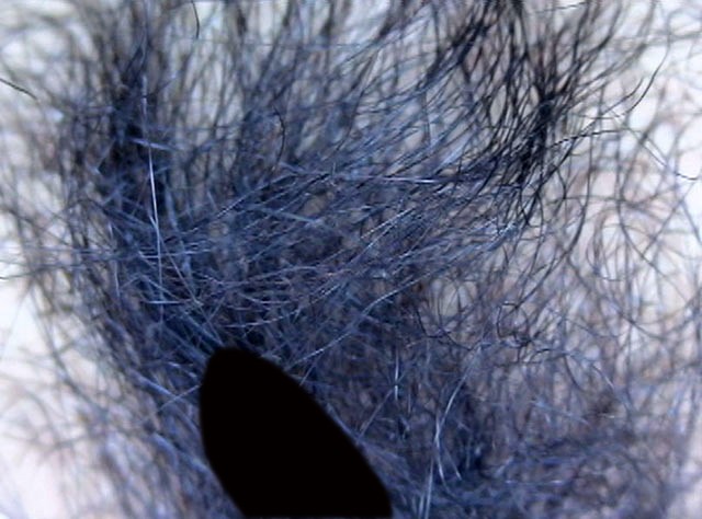 サンプル画像 12