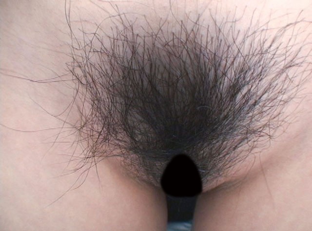 サンプル画像 14