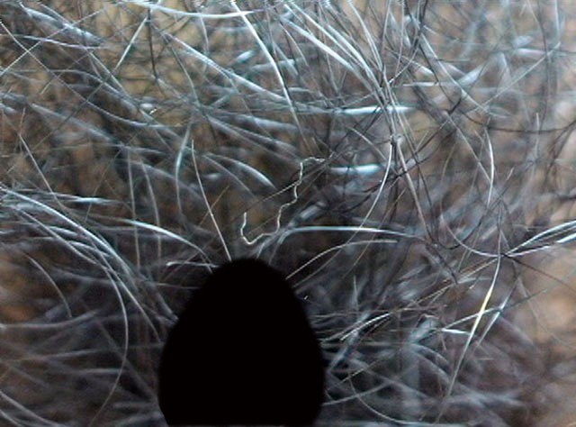 サンプル画像 15