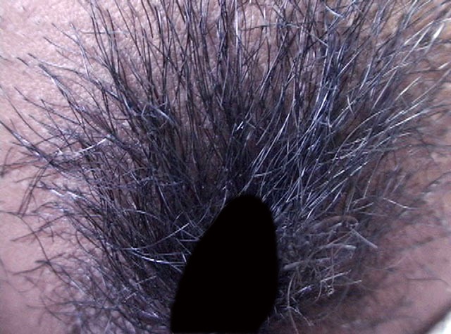 サンプル画像 16