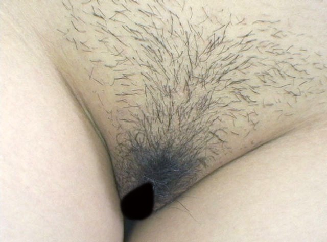 サンプル画像 17