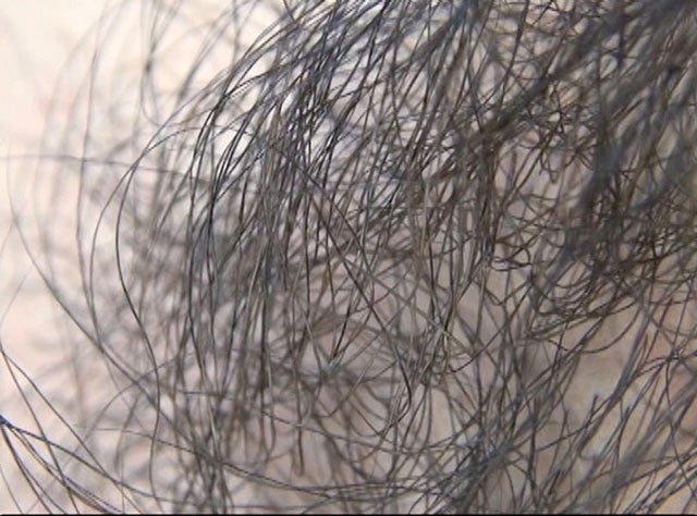 サンプル画像 18