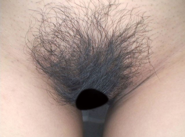 サンプル画像 19