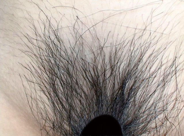 サンプル画像 20