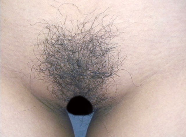 サンプル画像 21