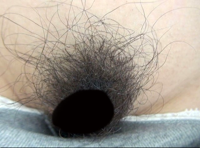 サンプル画像 5