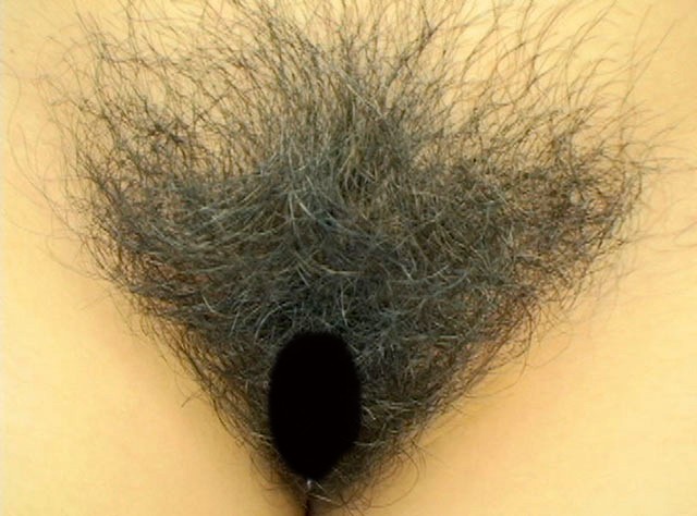 サンプル画像 7