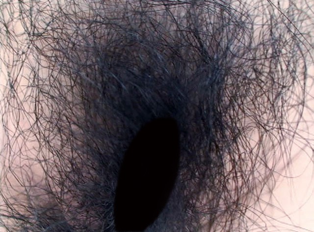 サンプル画像 8