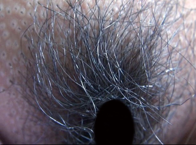 サンプル画像 9