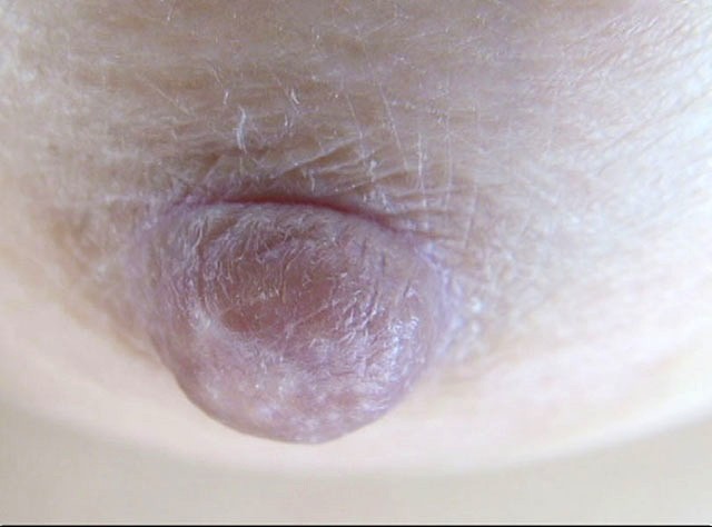 サンプル画像 12