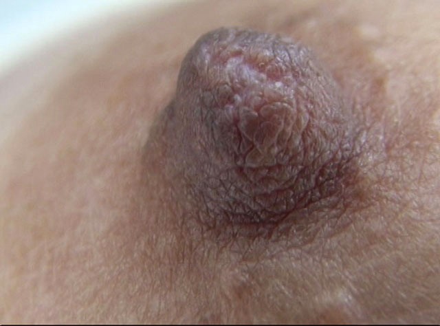 サンプル画像 15