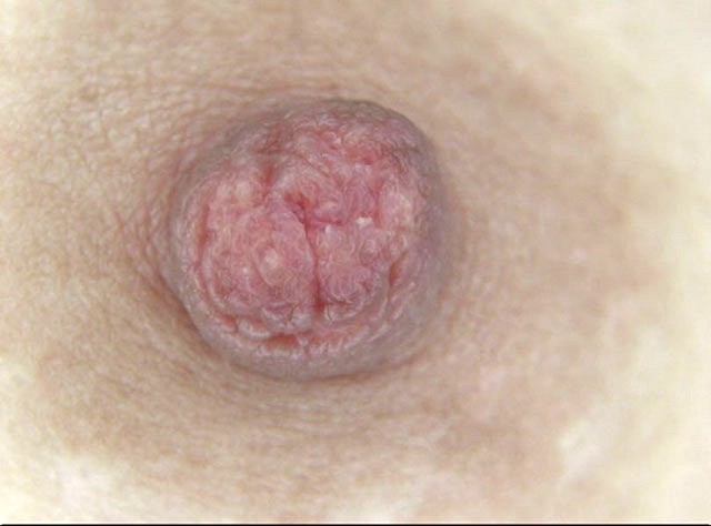 サンプル画像 17