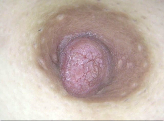 サンプル画像 20