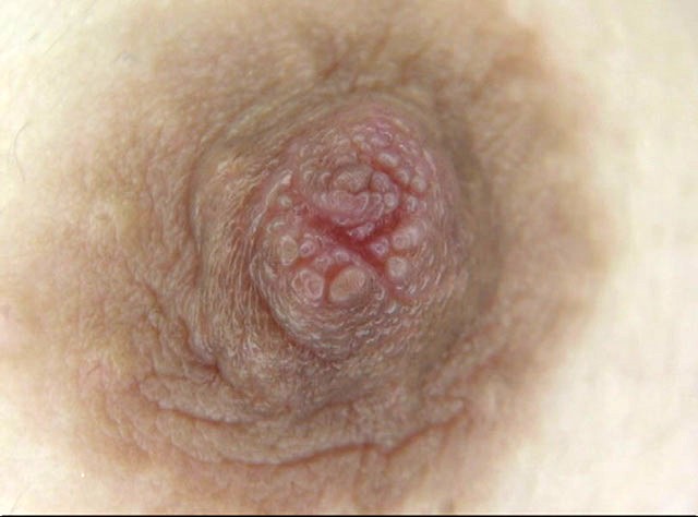 サンプル画像 21