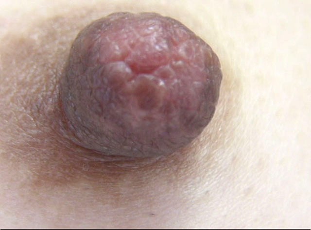 サンプル画像 6