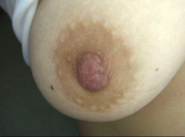 サンプル画像 7