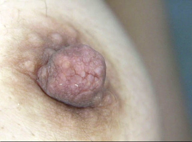 サンプル画像 8