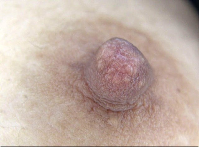 サンプル画像 10