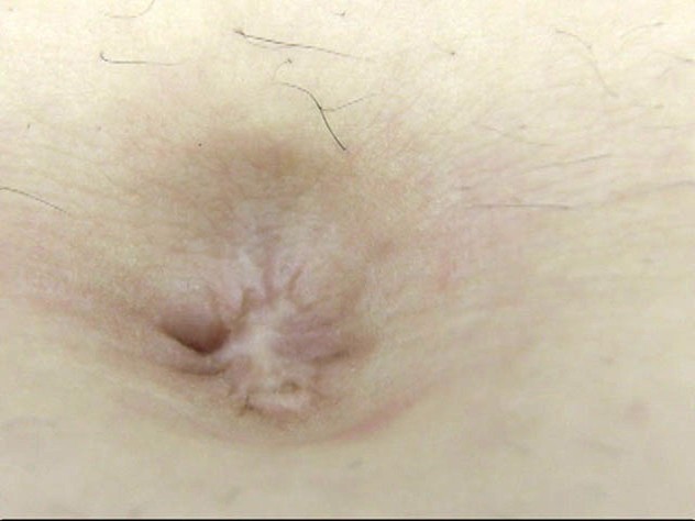 サンプル画像 12