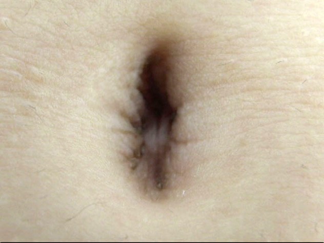 サンプル画像 16