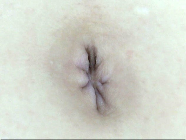 サンプル画像 17