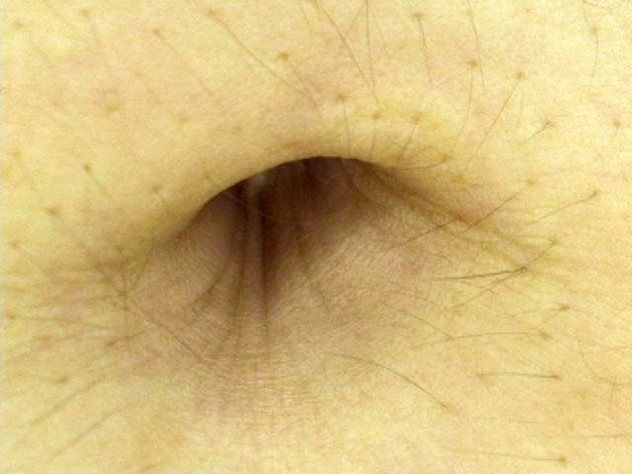 サンプル画像 6