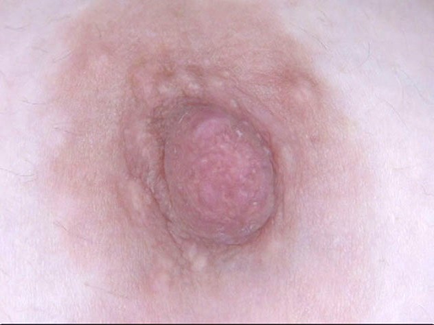 サンプル画像 11