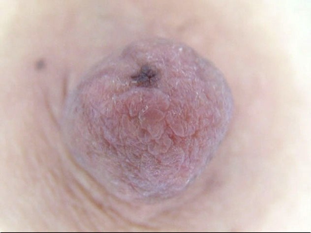 サンプル画像 12