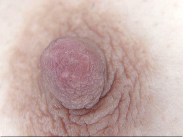 サンプル画像 13