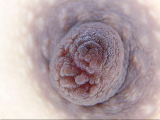 サンプル画像 14