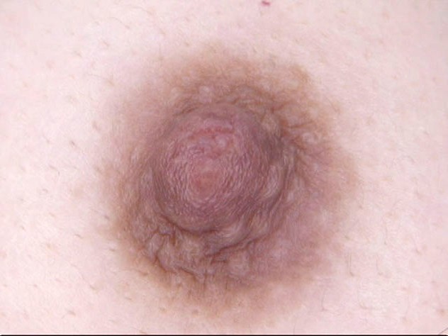 サンプル画像 15