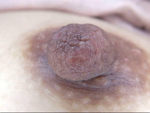 サンプル画像 16