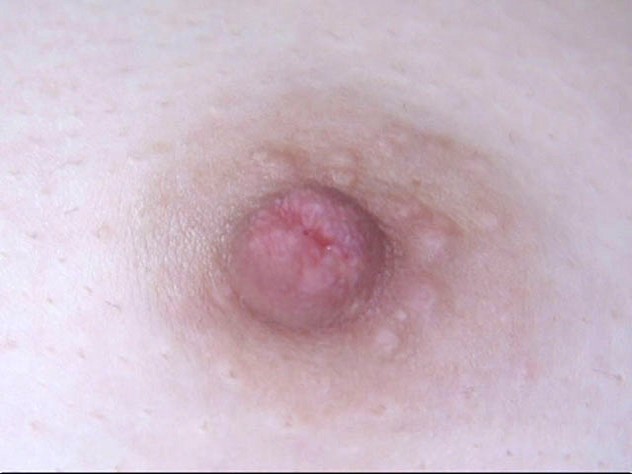 サンプル画像 3