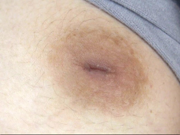 サンプル画像 4