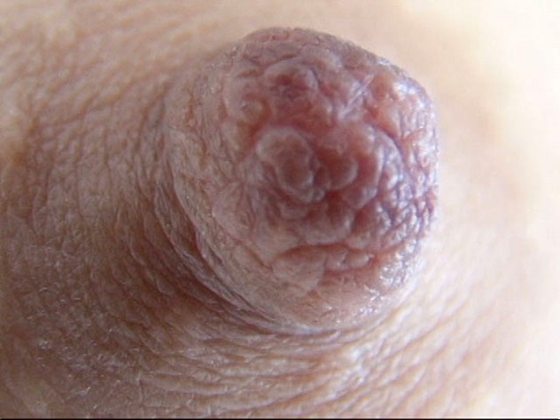 サンプル画像 7