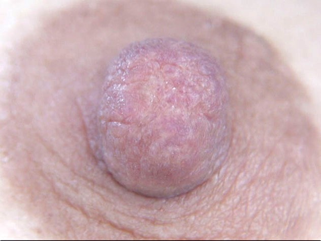 サンプル画像 8