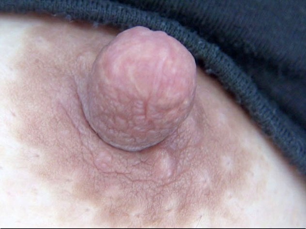 サンプル画像 9