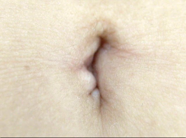 サンプル画像 16