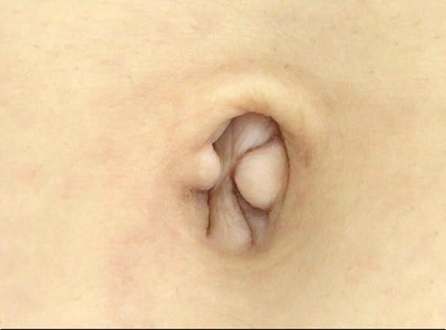 サンプル画像 5