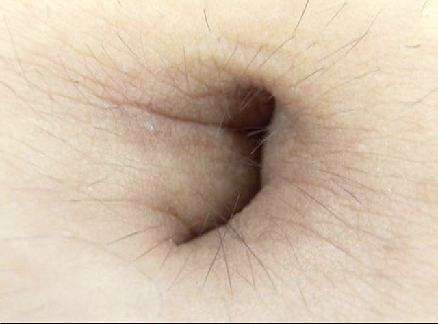 サンプル画像 10