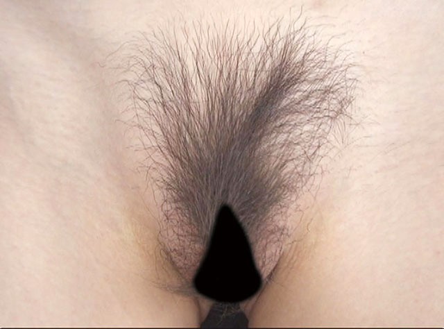 サンプル画像 13