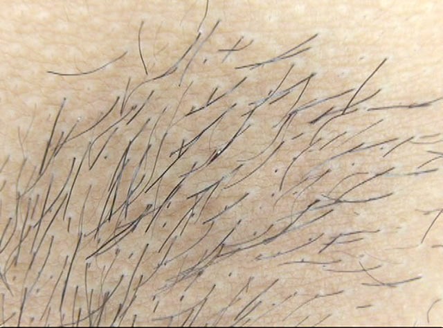 サンプル画像 14