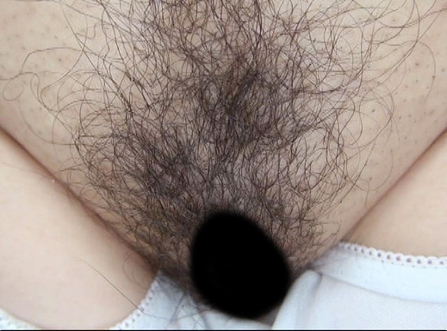 サンプル画像 15