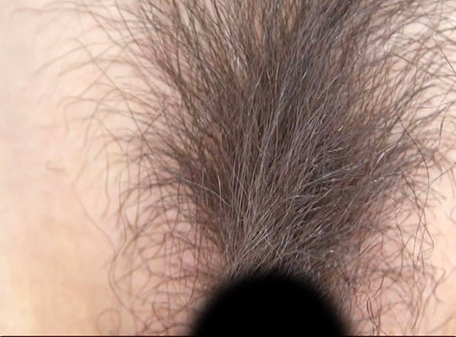 サンプル画像 16