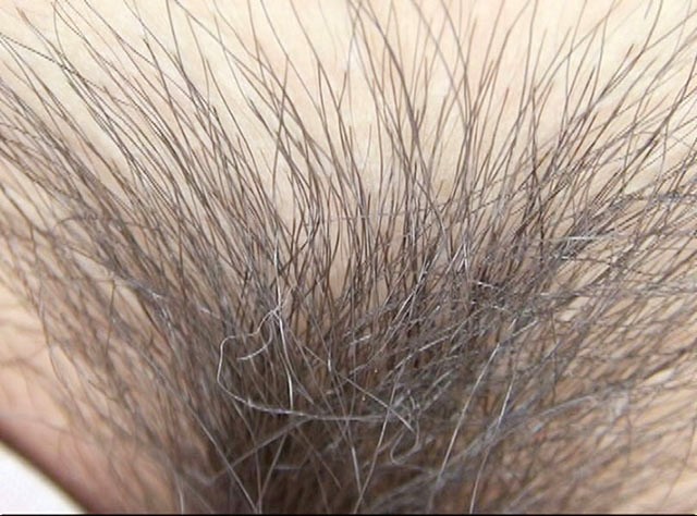 サンプル画像 17