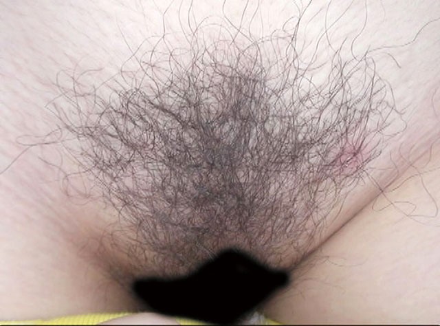 サンプル画像 19