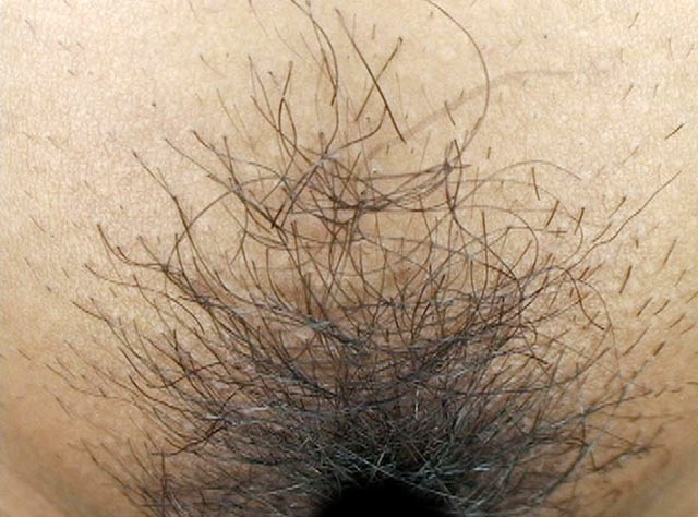 サンプル画像 20