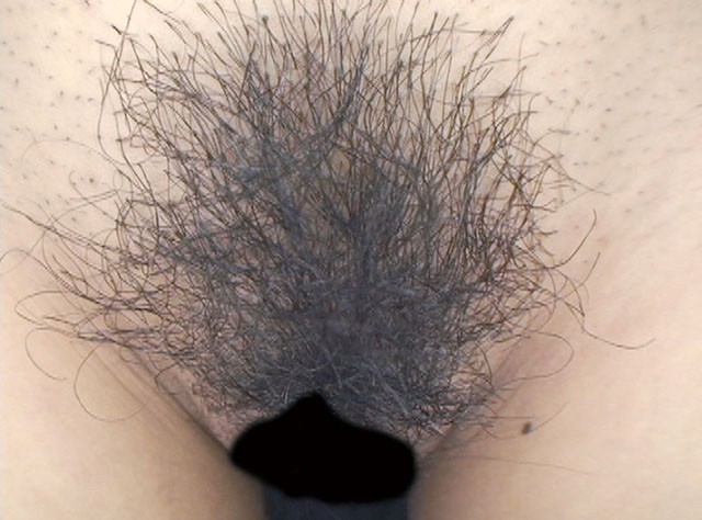 サンプル画像 4