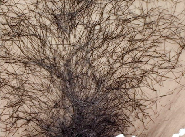 サンプル画像 6