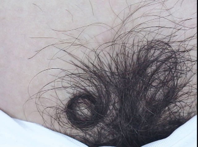 サンプル画像 7